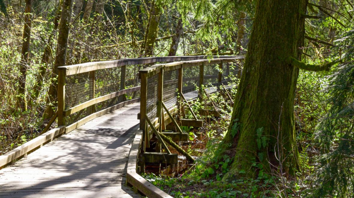 5 Super Stroller Hikes in Western Washington ParentMap